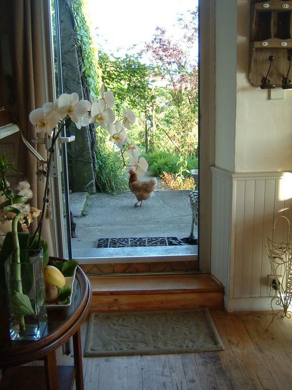 Villa Le Lac Cottage Au Bord Du Lac D'Annecy - Chambre Chez L'Habitant - Les Terrasses Du Lac Veyrier-du-Lac Dış mekan fotoğraf